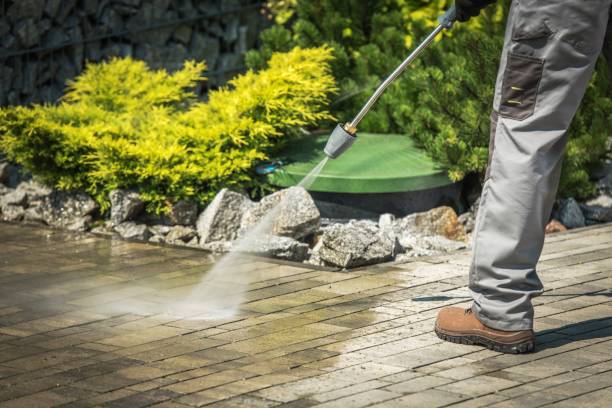 Best Roof Washing  in Nederland, CO